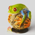 Red-Eye-Tree-Frog-Design.gif Red Eye Tree Frog Diorama display -Color VRML Included!