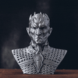 Cover.gif STL file Night King Bust - Game of Thrones・3D print model to download, tolgaaxu