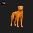 315-Boxer_Pose_03.gif Boxer Dog 3D Print Model Pose 03