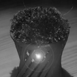 trip.gif 3d model gardener for plants