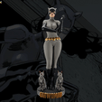 gıf.gif Catwoman Grey Bodysuit - Collectible Edition