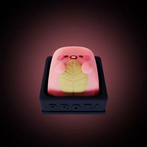 pokemons8.mp4 Capuchon de touche personnalisé Rosalis