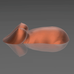01.gif Fichier STL Une femme enceinte sur l'eau・Design imprimable en 3D à télécharger