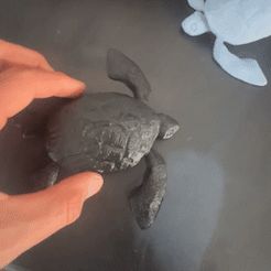 FlexiTurtle.gif Datei STL GELENKTER SEA TURTLE - Articulated Sea Turtle (Gelenkte Meeresschildkröte)・Design für 3D-Drucker zum herunterladen