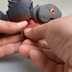 aleta.gif 3D-Datei Beißende Piranhas・Modell zum Herunterladen und 3D-Drucken