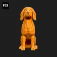 157-Beagle_Pose_04.gif Beagle Dog 3D Print Model Pose 04