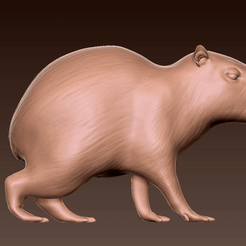 capibara.gif STL file Capibara・3D print object to download