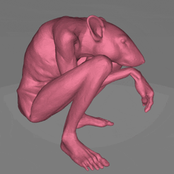 RATSPIN3.gif Descargar archivo STL Hombre rata • Plan de la impresora 3D, crabconspiracy