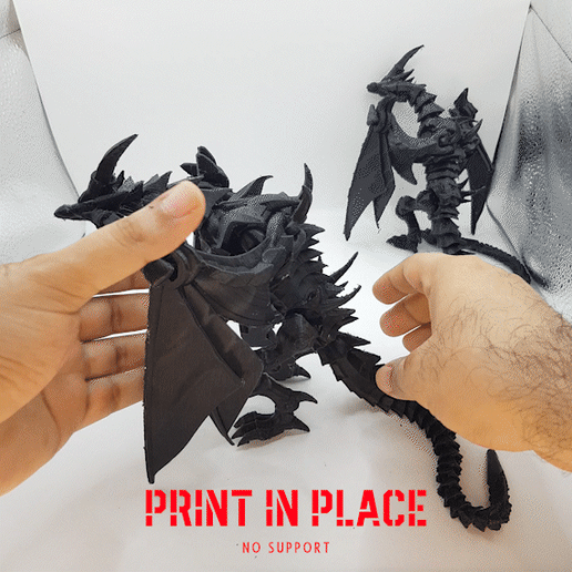 Red-Eyes Black Dragon__Yu-Gi-Oh!_flexi_print_in_place