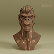 ezgif-7b16b8671f6a91.gif APE.X - ANCESTOR PRIME - CHIMP MONKEY BUST
