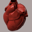 8.gif HUMAN HEART SEGMENTED 3D MODEL
