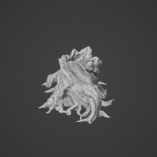 Vase_root.gif Root Vase