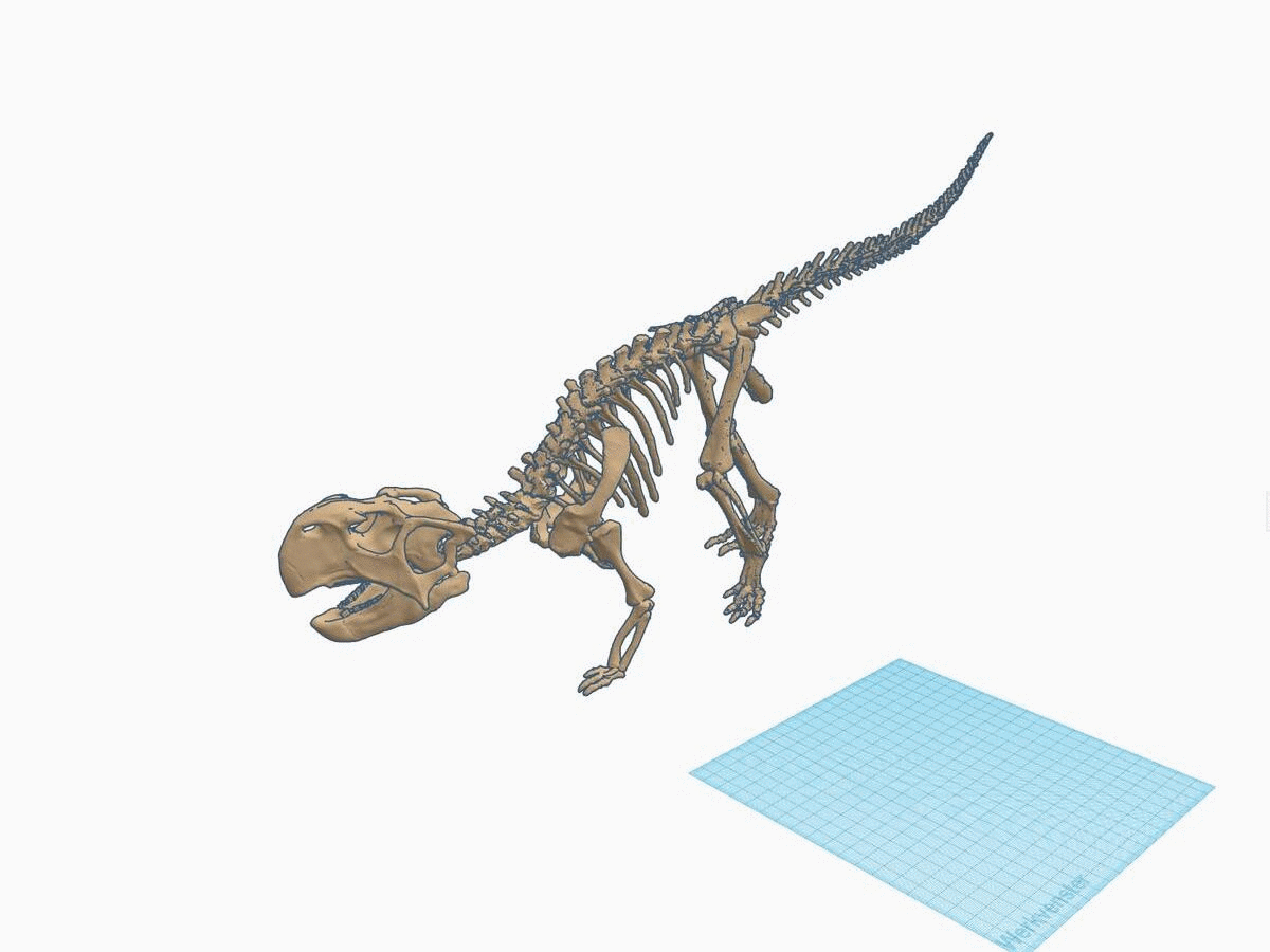 psit 1 .gif Fichier STL Squelette de dinosaure - Psittacosaurus V3・Plan à imprimer en 3D à télécharger, Think3dprint
