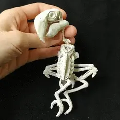 esqueleto.gif Parrot Skeleton