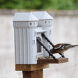 VIDÉO-OISEAU-MANGEOIR.gif BIRD FEEDER & DRINKER & CUP