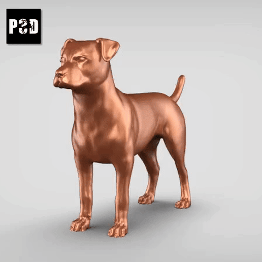 Patterdale Terrier V3 3D model