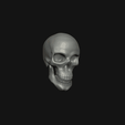 skull.gif Basic skull