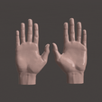 Untitled-design-2.gif HUMAN HAND SCANED