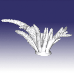 3q7rup.gif Download OBJ file Coral scan • 3D printable object, Dsignrcmc