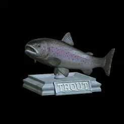 Rainbow-trout-trophy-open-mouth-1.gif fish rainbow trout / Oncorhynchus mykiss trophy statue detailed texture for 3d printing