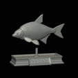 Bream-statue-6.gif fish Common bream / Abramis brama statue detailed texture for 3d printing