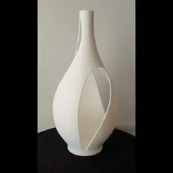 asymmetricvase.gif STL file Asymmetric vase・3D printer design to download