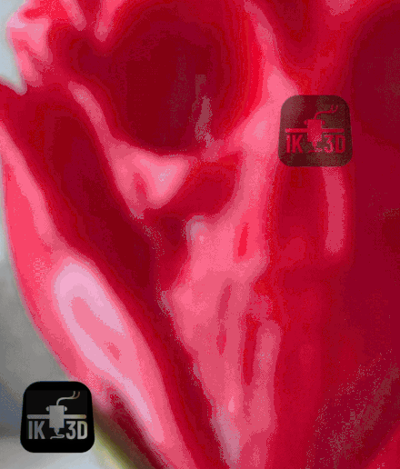 Halloween Skull Rose / No Supports - 3D model önizlemesi