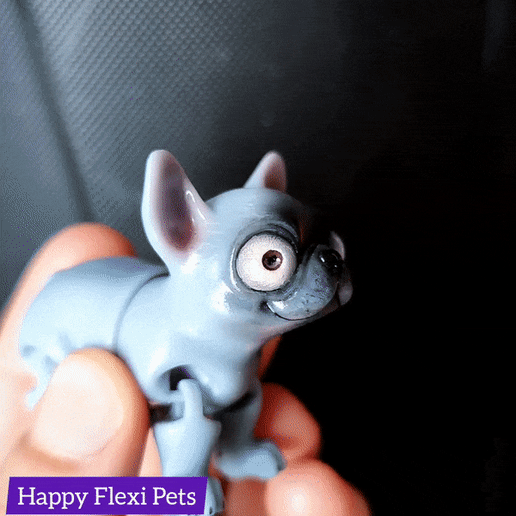 Happy Flexi Pets ) a Archivo STL Choppy, el juguete articulado flexible, se imprime en el lugar・Objeto imprimible en 3D para descargar, HappyFlexiPets