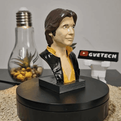 Han Solo Bust, Geevader1