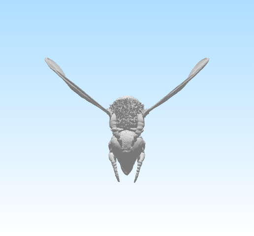 queen bee 3D model
