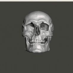 Untitled-design.gif Archivo STL SKULL・Diseño de impresión en 3D para descargar