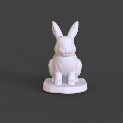 Rabbit