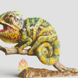 Baby-Chameleons.gif Baby Chameleons - VRML Color 3d print & STL Included!  -Lizard