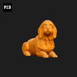 117-Basset_Fauve_de_Bretagne_Pose_09.gif Basset Fauve de Bretagne Dog 3D Print Model Pose 09