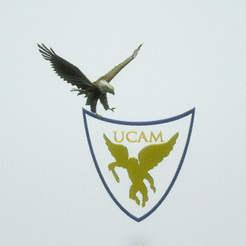 AGILA.gif Universidad Católica de Murcia