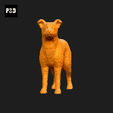 512-Collie_Smooth_Pose_02.gif Collie Smooth Dog 3D Print Model Pose 02
