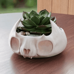 Comp-1.gif STL file Cute skull pot plate・3D printable model to download