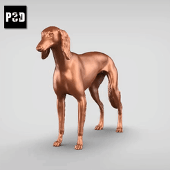 00.gif STL file Saluki V3・Template to download and 3D print