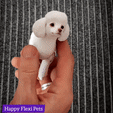 poodle_pose.gif Realistic Poodle dog articulated flexi toy named Luna  (STL & 3MF)