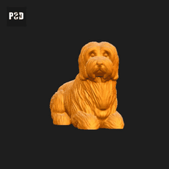 528-Coton_De_Tulear_Pose_09.gif Archivo STL Coton De Tulear Perro Impresión 3D Modelo Pose 09・Modelo imprimible en 3D para descargar