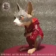cat.gif Sphynx with Hoodie