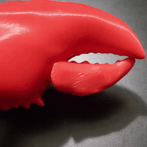 Crab Claw 3D model