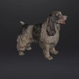 GIF.gif FIGURINE OF ENGLISH COCKER SPANIEL DOG MASCOT .STL .OBJ