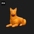 401-Canaan_Dog_Pose_08.gif Canaan Dog 3D Print Model Pose 08