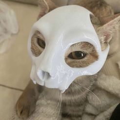 Cat Skull Mask – 3D Printable Halloween or Cosplay Pet Mask
