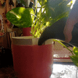 pot.gif Planter with water reservoir and water level