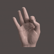 Untitled-design-4.gif HUMAN HAND SCANED 2