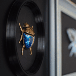 20230831_155702.gif STL file Scarab beetle with frame・3D print design to download