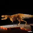 gif-rex.gif [3Dino Puzzle]Large Dinosaur Museum Premium Set