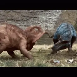 triceratops-tyrannosaurus-rex.gif Suporte Alexa Echo Dot 4a e 5a Geração Triceratops Cute